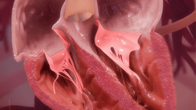 3D model of a heart designed by Random42