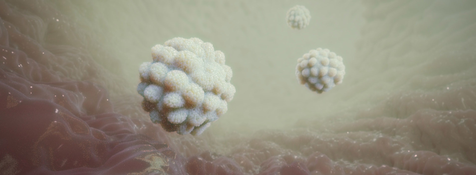 3D model of stomach interior designed by Random42