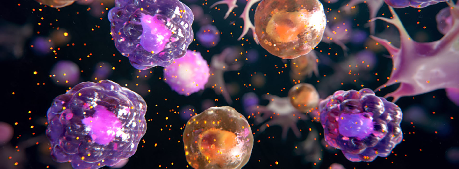 3D model of epithelial cells designed by Random42