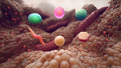 3D model of fat cells designed by Random42