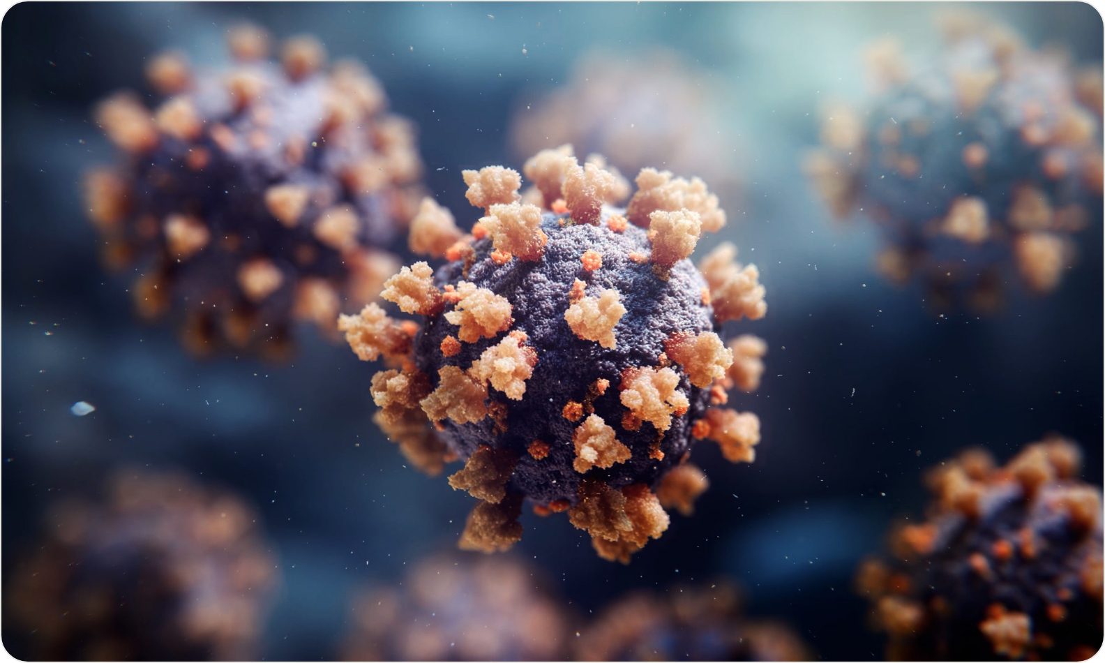 3D model of covid virus designed by Random42