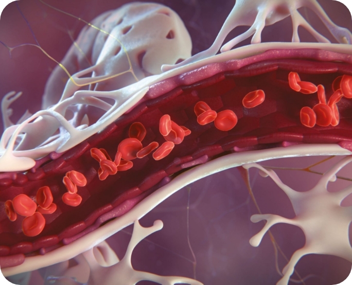 3D model of a blood brain barrier designed by Random42