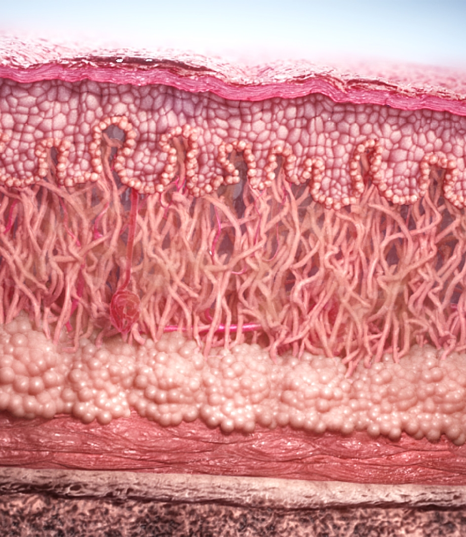 aesthetic injectable treatment animation