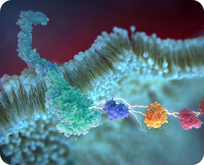 3D model of lipid surface designed by Random42