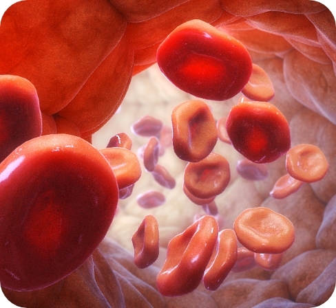 3D model of hematology designed by Random42