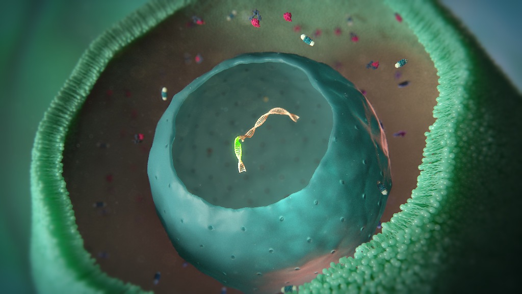 multiple sclerosis animation