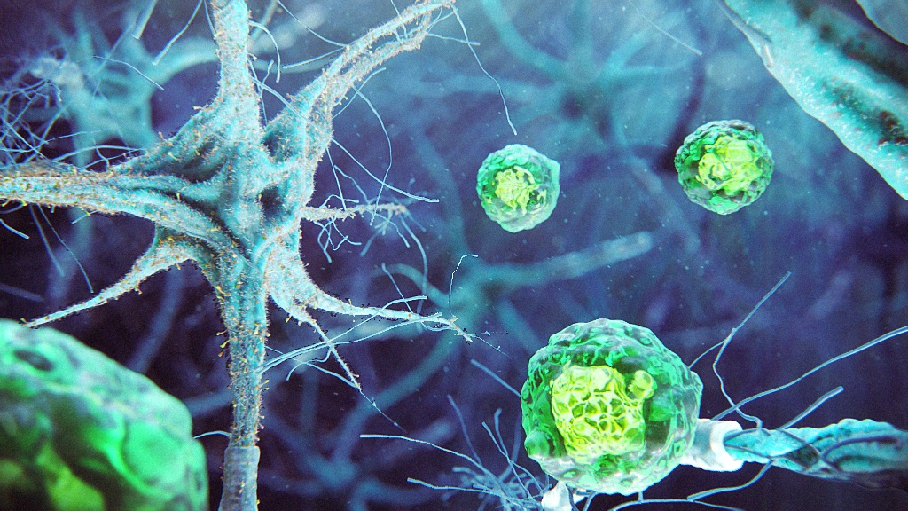 Healthy Microglia Neuron Scientific Animation