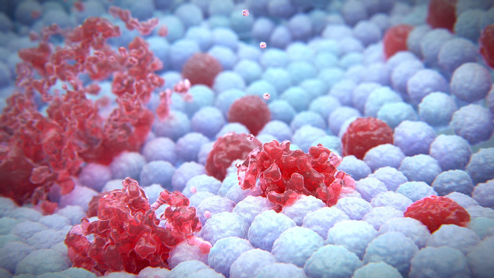 Cancer Apoptosis Animation