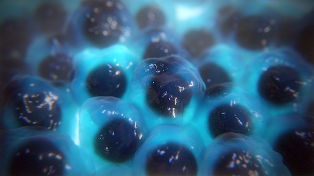 RNA interference animation