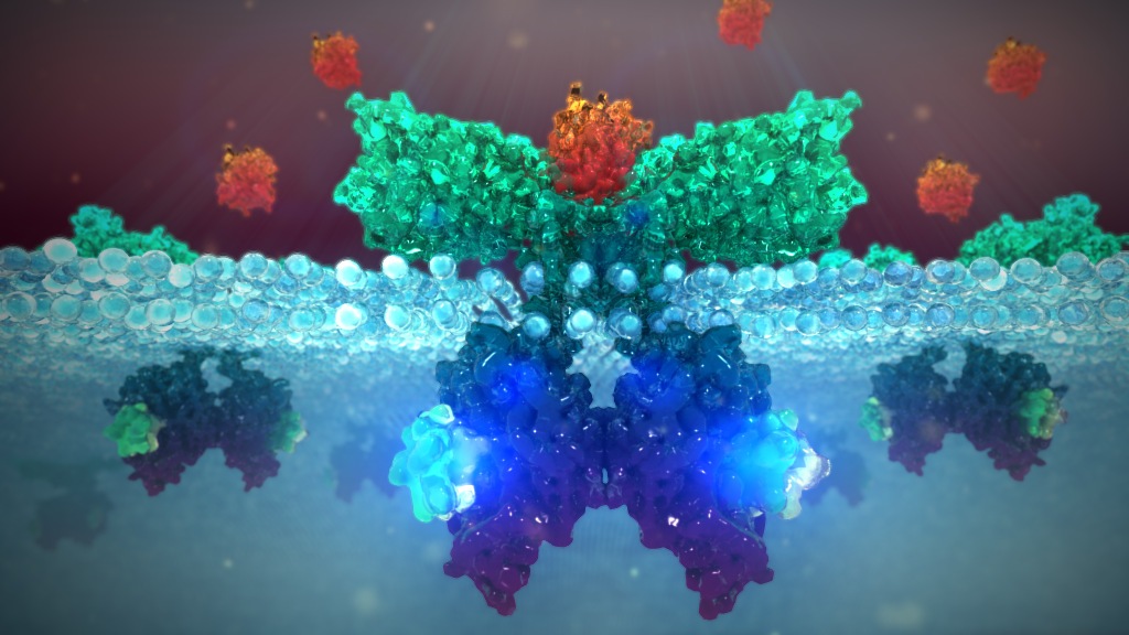 animal health medical animation