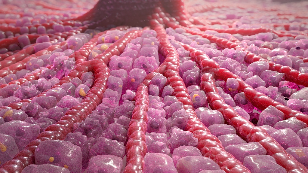 NASH scientific animation