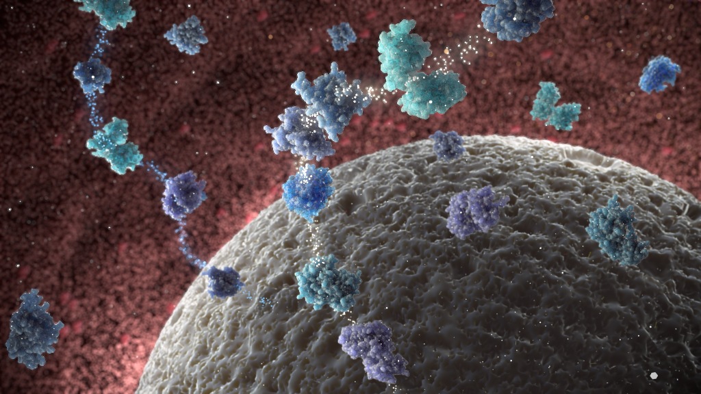 Drug Target Medical Animation