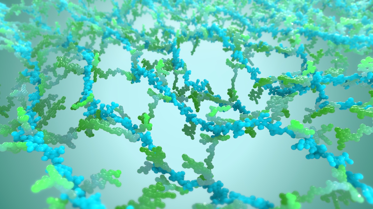 Peptidoglycan Scientific Animation