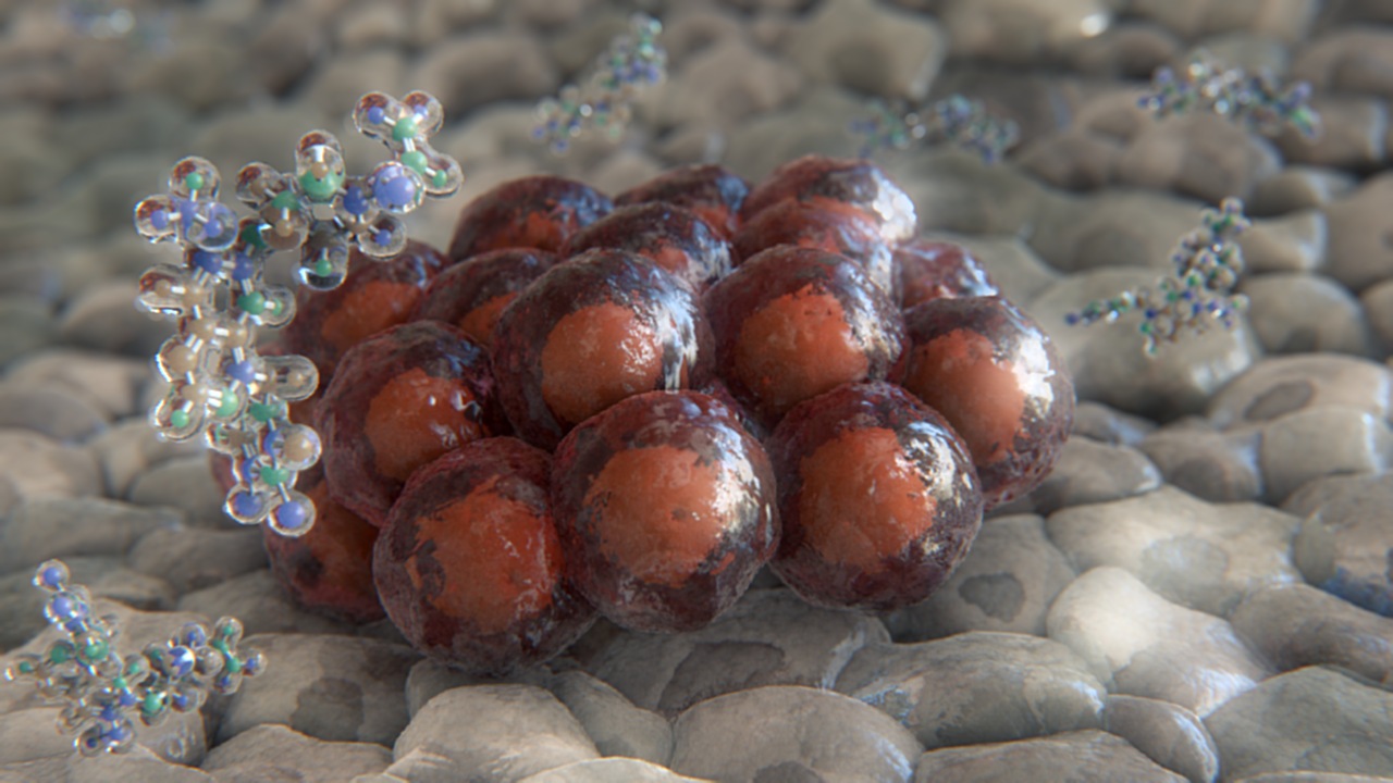 Immunotherapy Animation