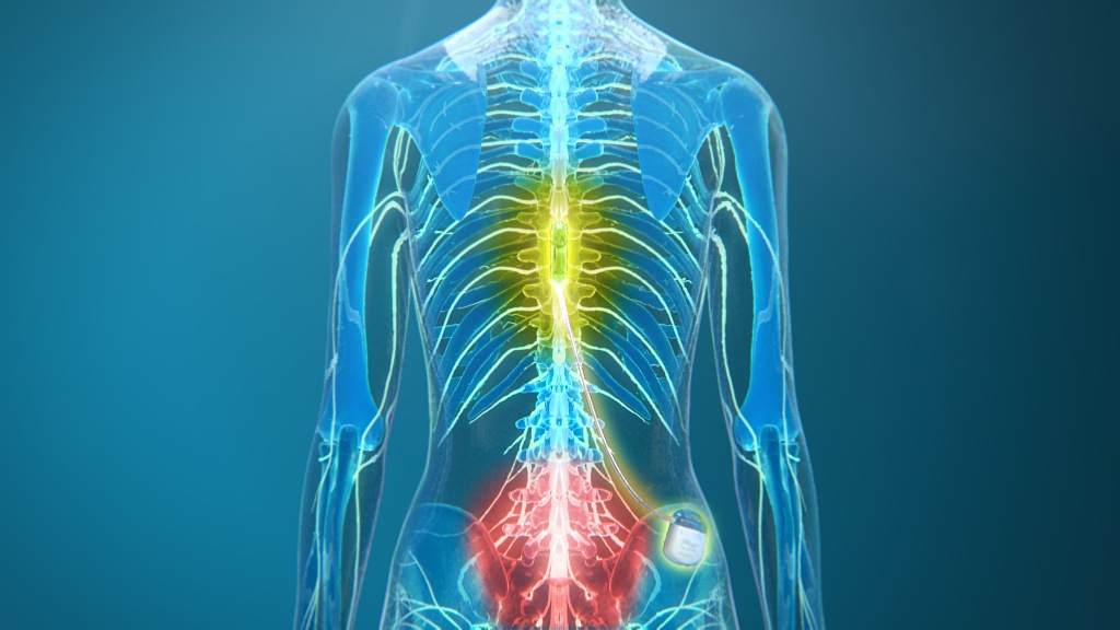 Educational Visual Experience in Medical VR