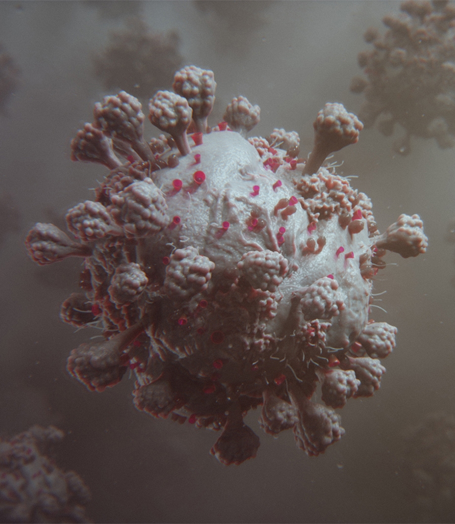 Coronavirus Animation