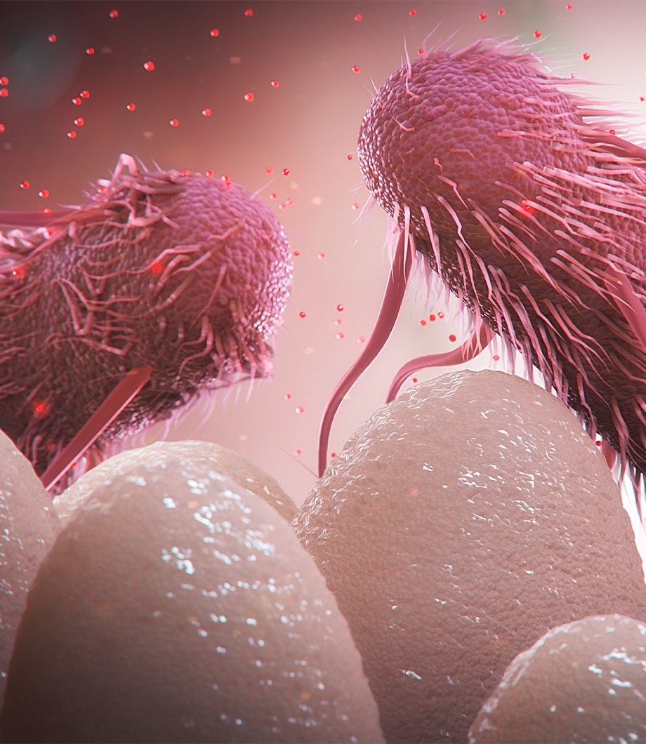 animal health scientific animation