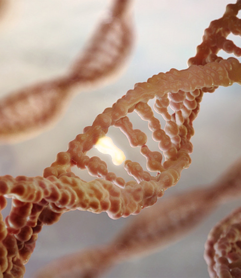 Oncology MoA Animation