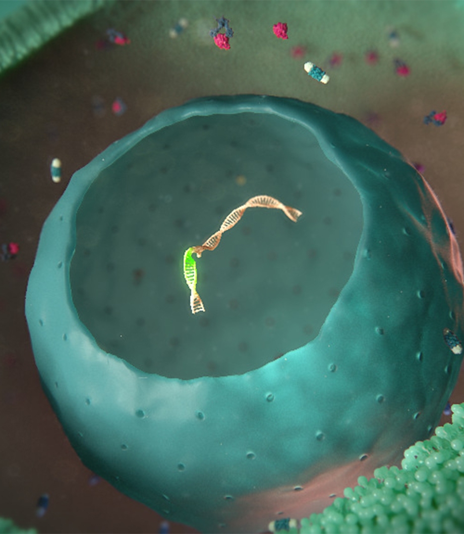 multiple sclerosis animation