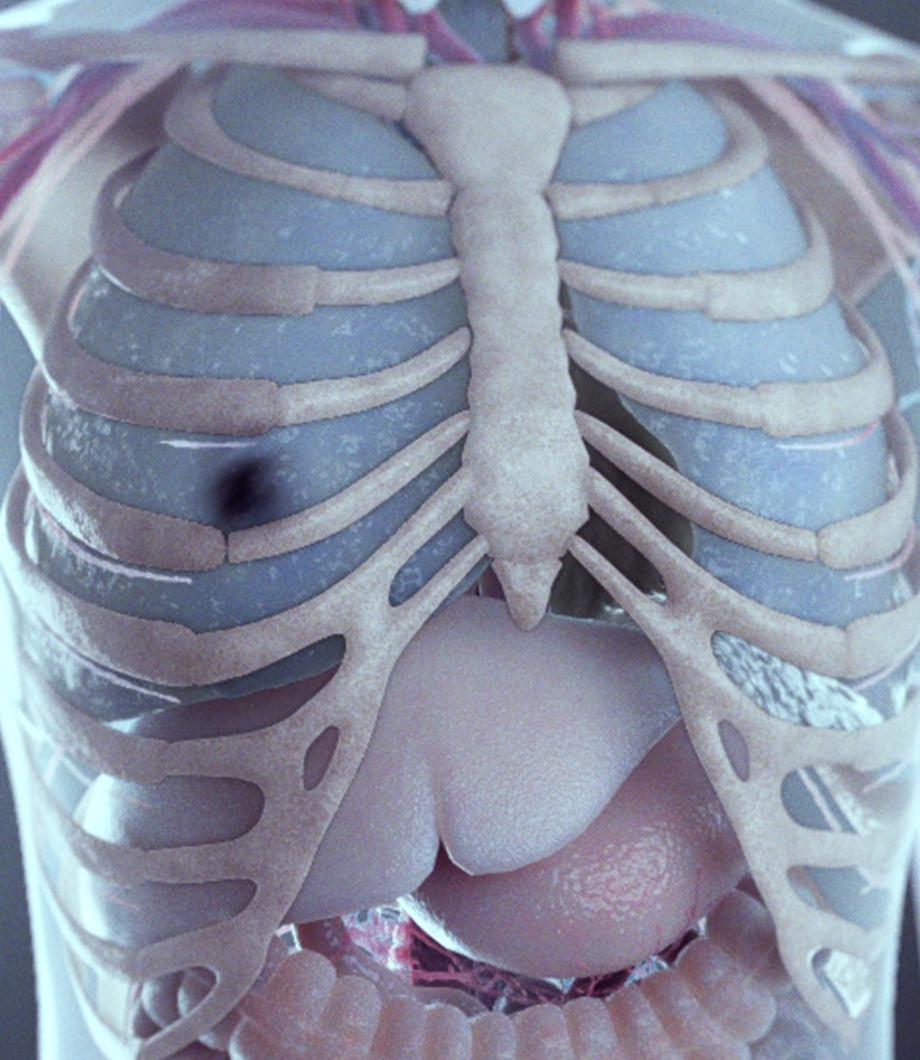 immunotherapy technology animation