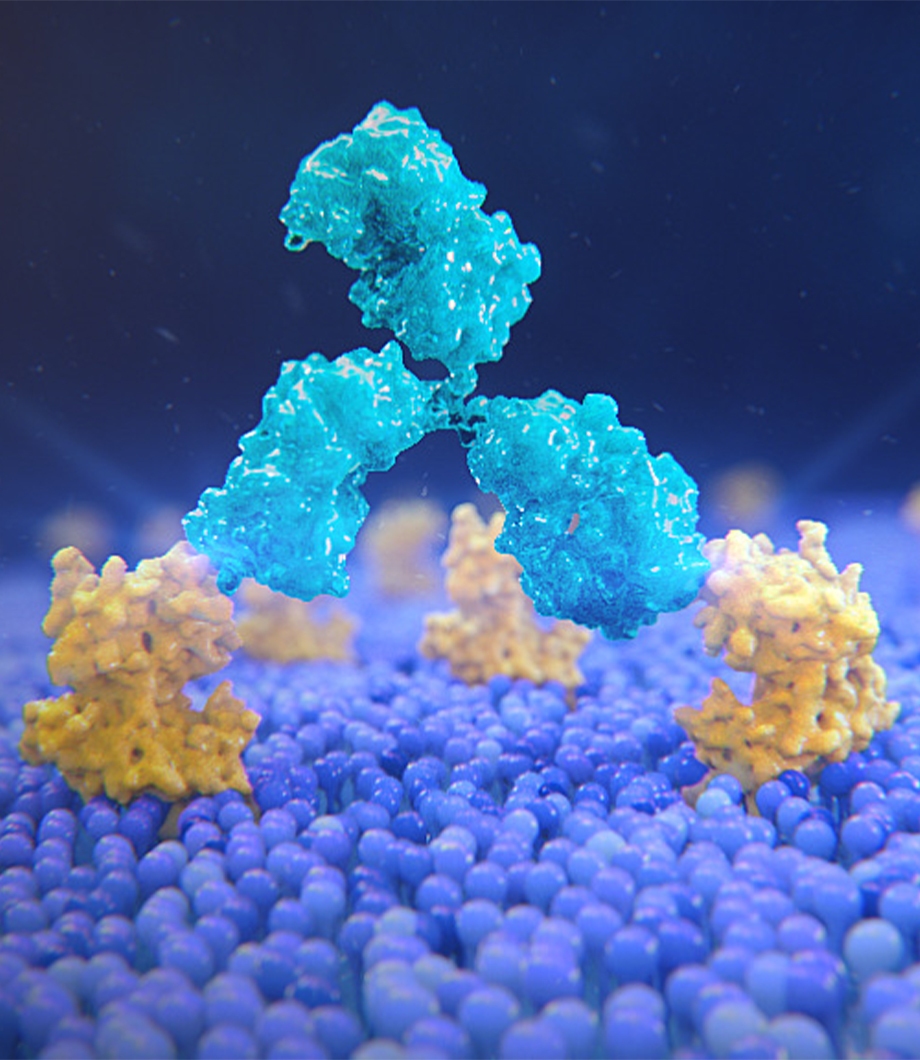 immuno-oncology research pipeline