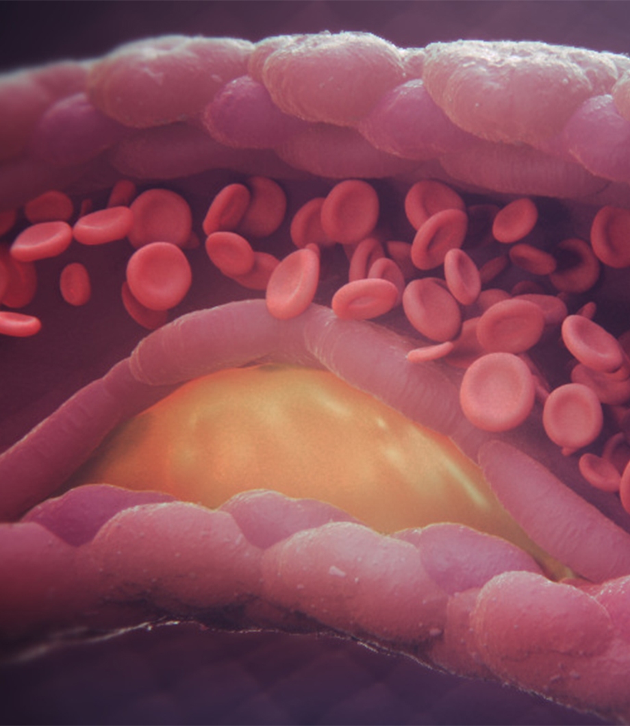 The Game Changers Documentary