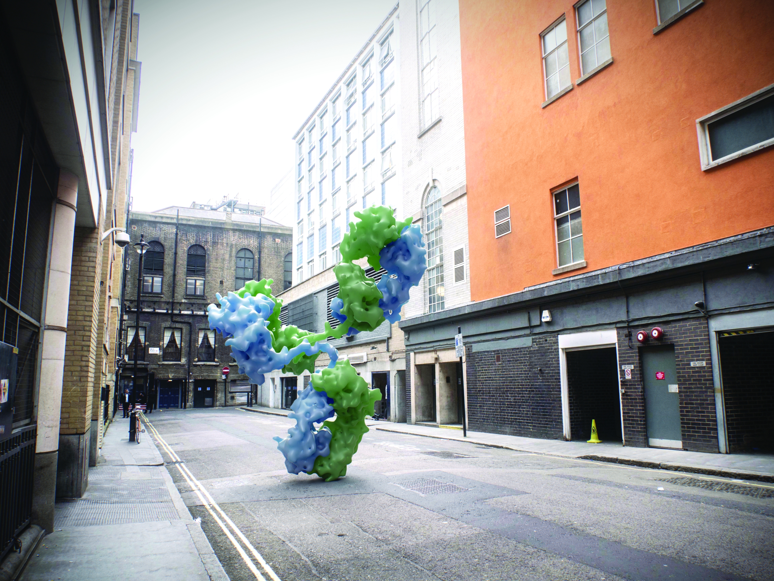 3D model of an antibody designed by Random42