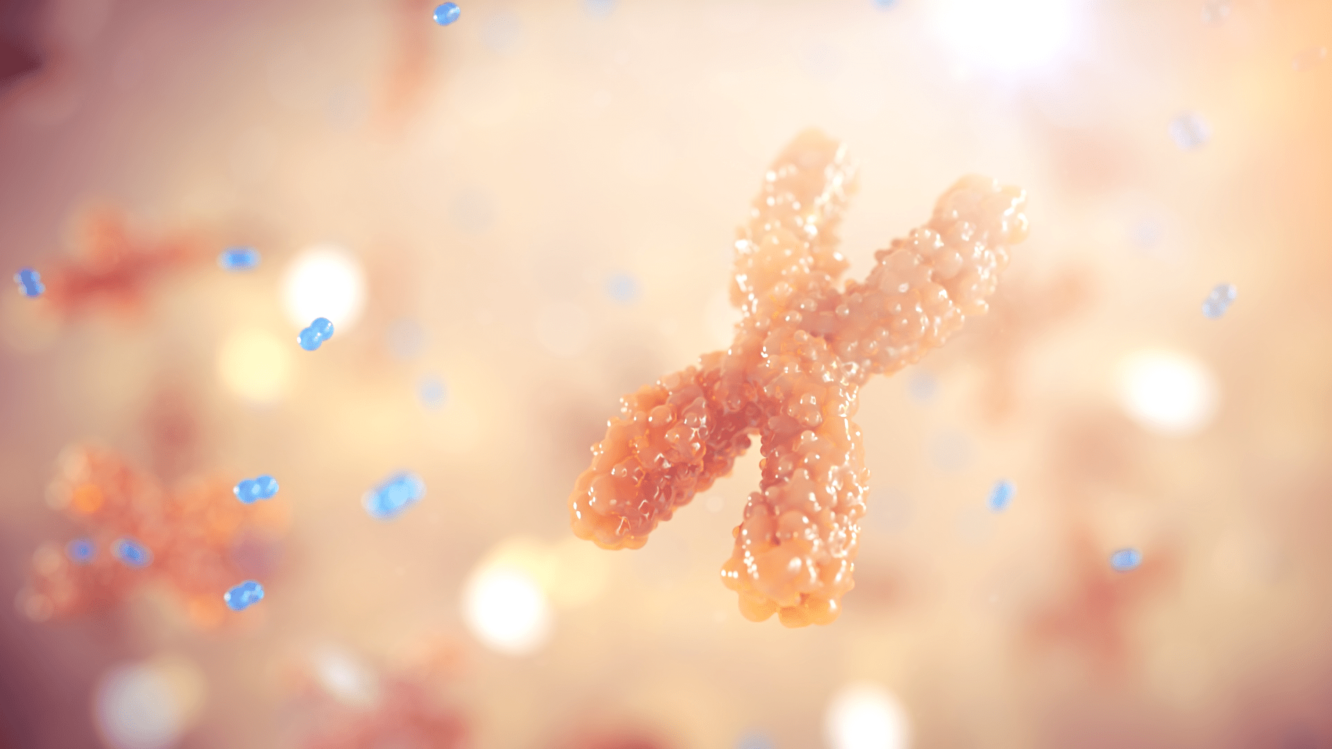 3D model of a chromosome designed by Random42