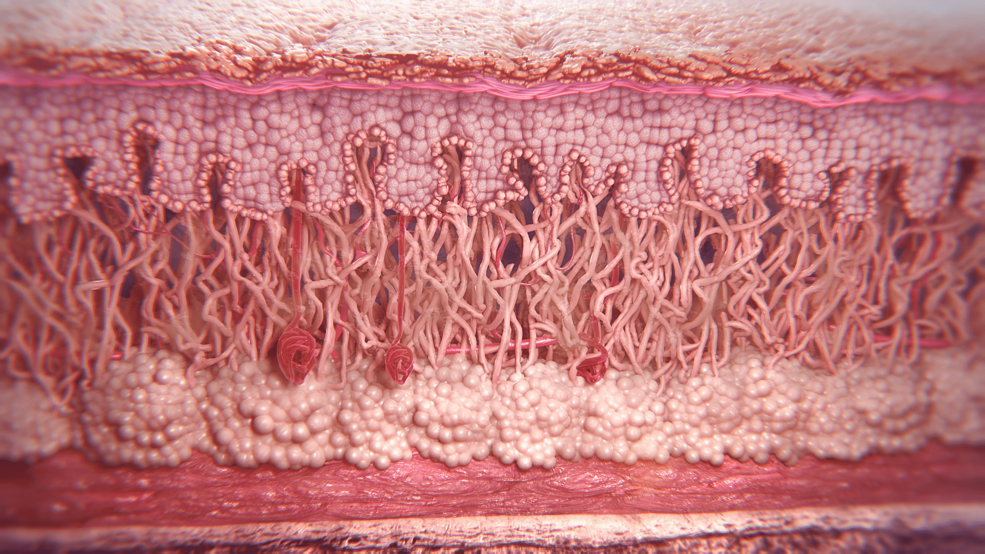 3D model of a cross section designed by Random42