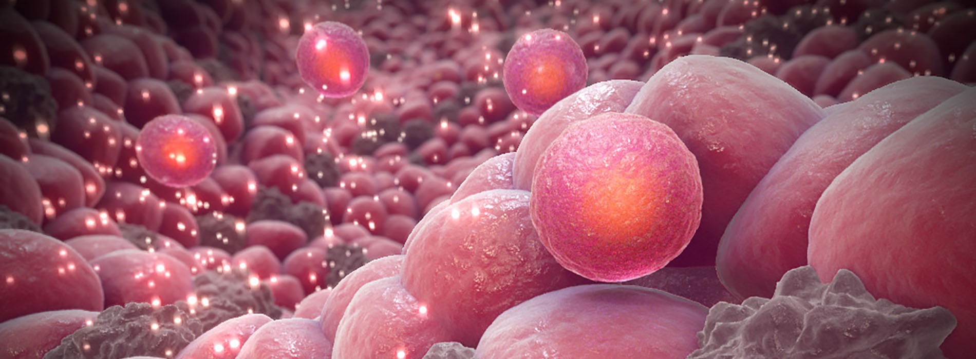 3D model of a hepatocytes environment designed by Random42