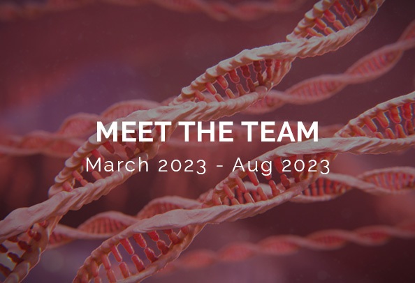 meet the random42 team aug 2023