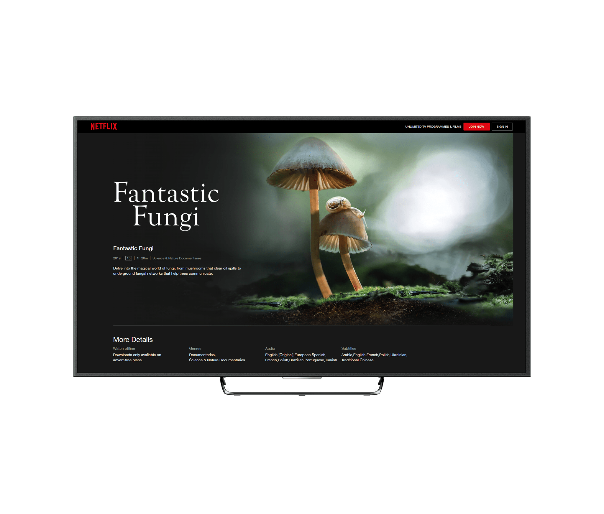 Random42 Fantastic Fungi Documentary
