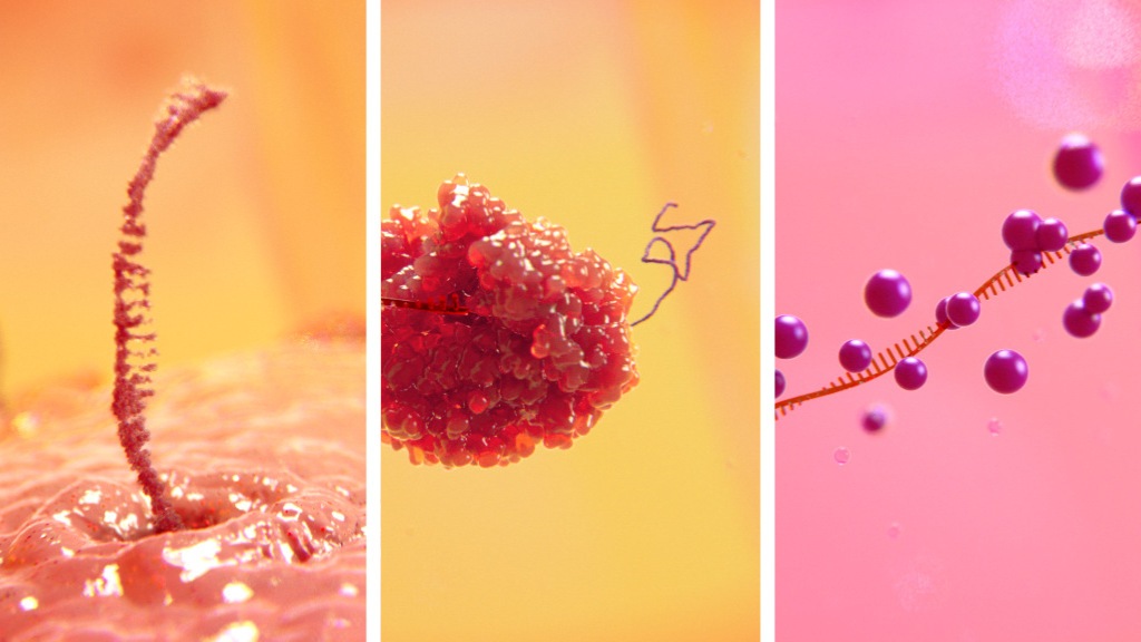 infectious virus scientific animation