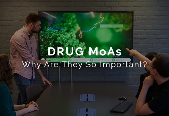 Pharmaceutical drug mechanism of action animations