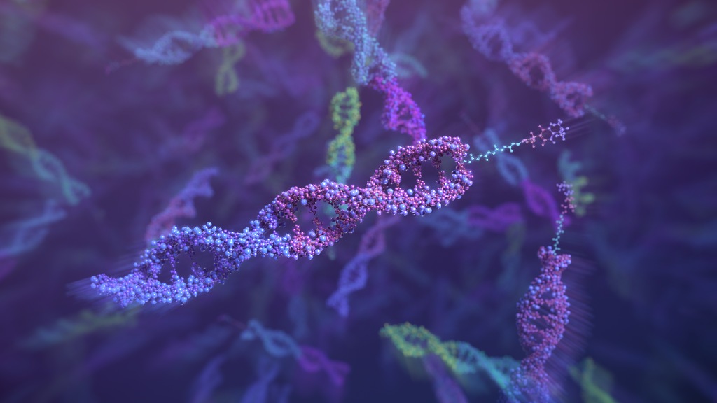 del platform medical animation