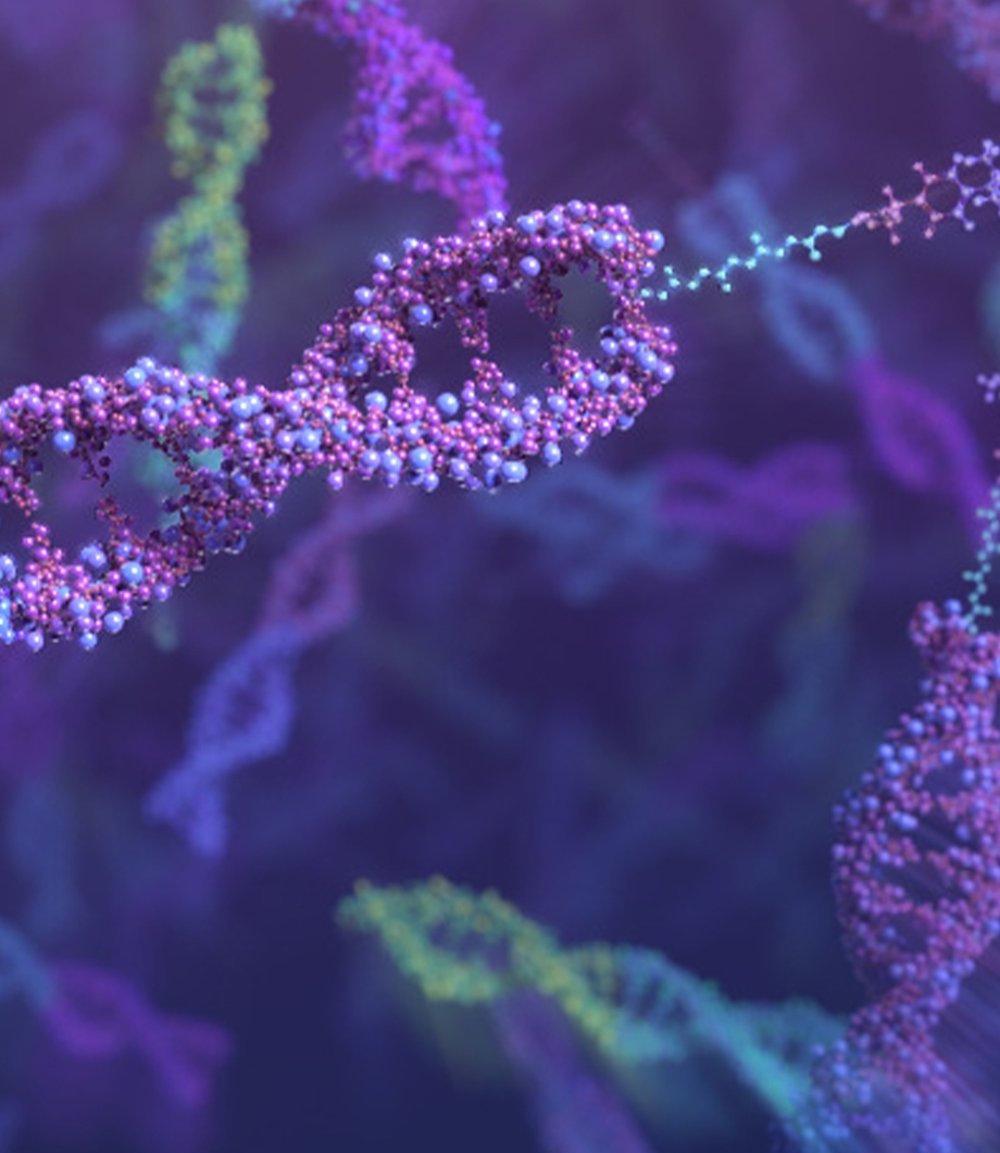 dna libraries scientific animation