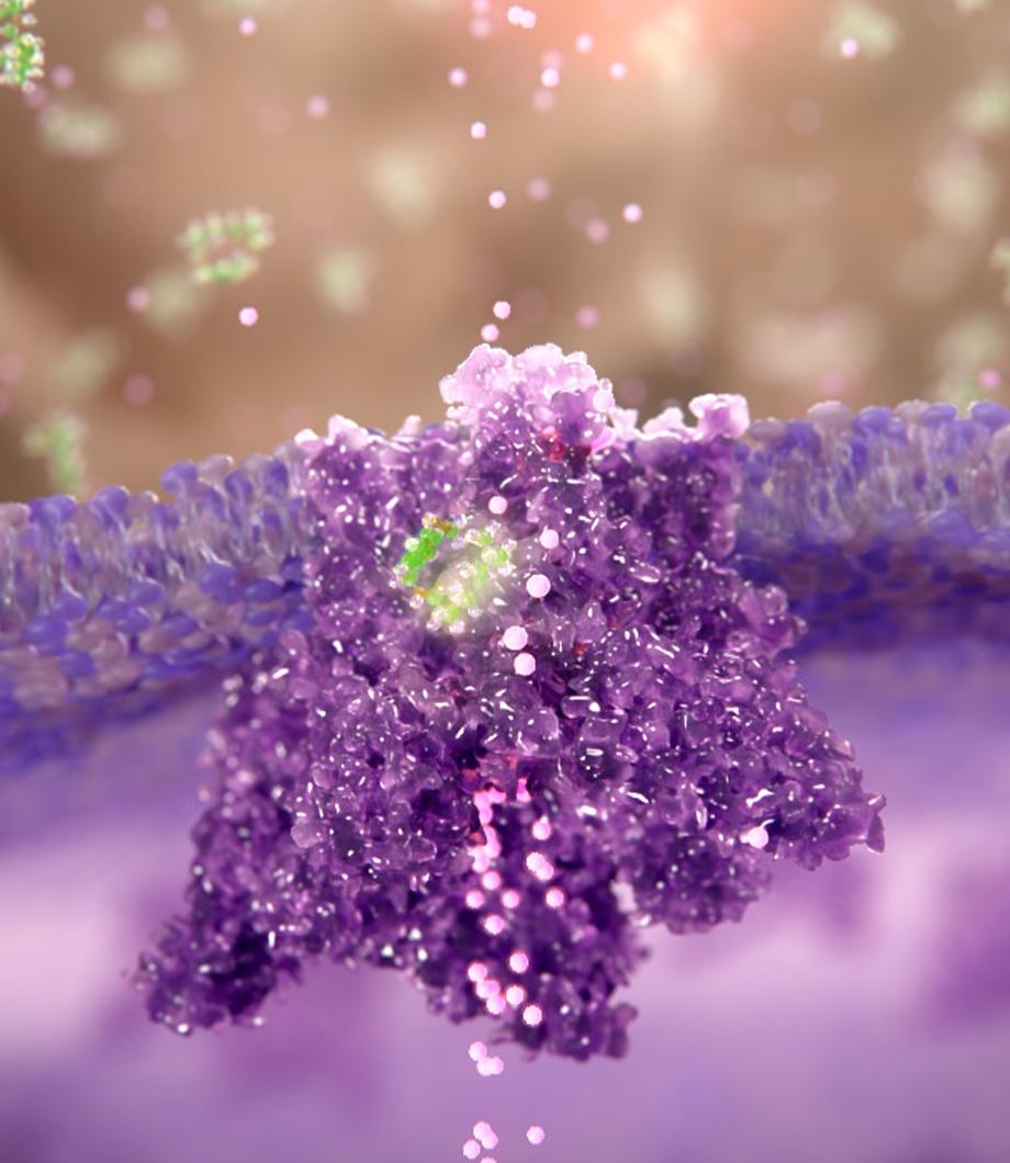 neuropathic pain scientific animation