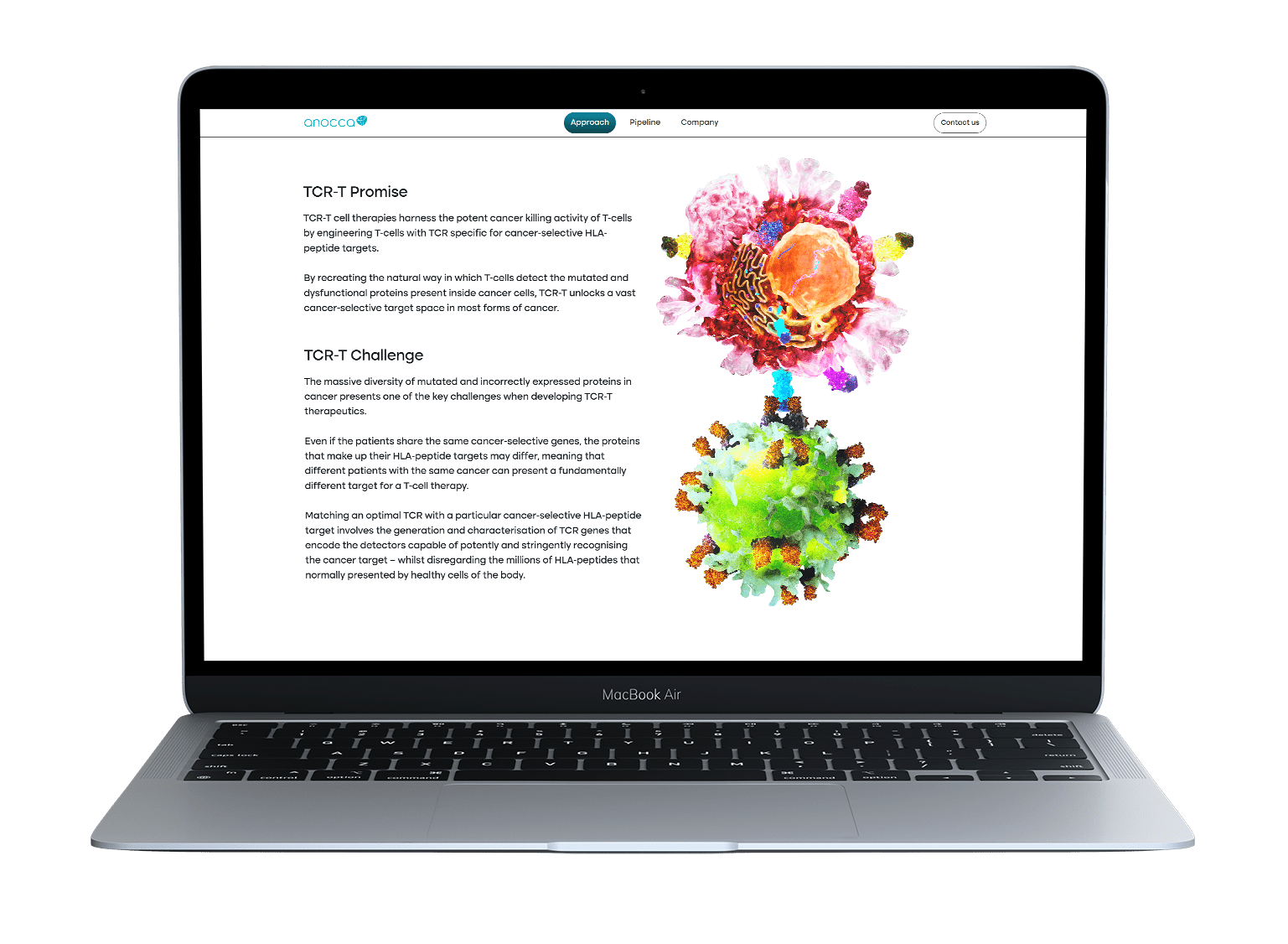 hcp educational digital content