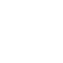 R42 Icon internal training