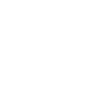 R42 Icon Social Media