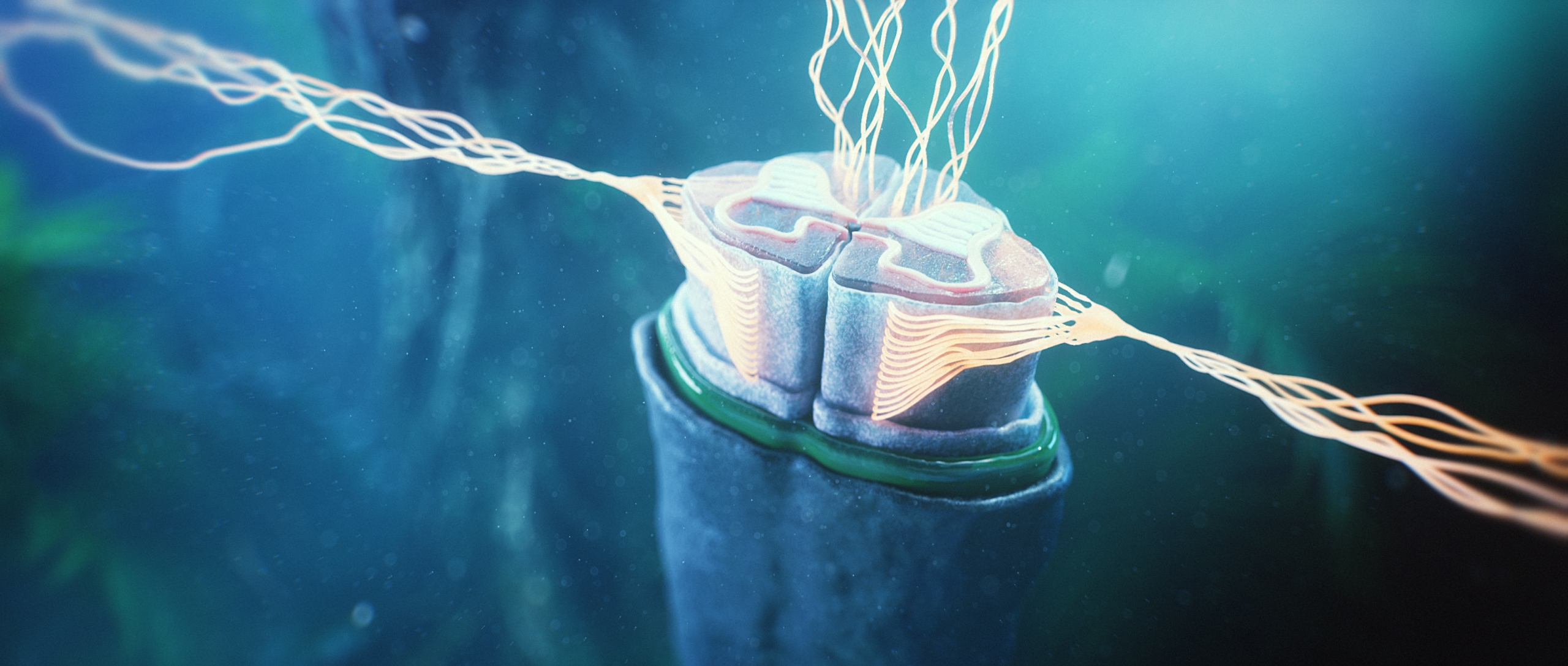 HCP education animation pharma