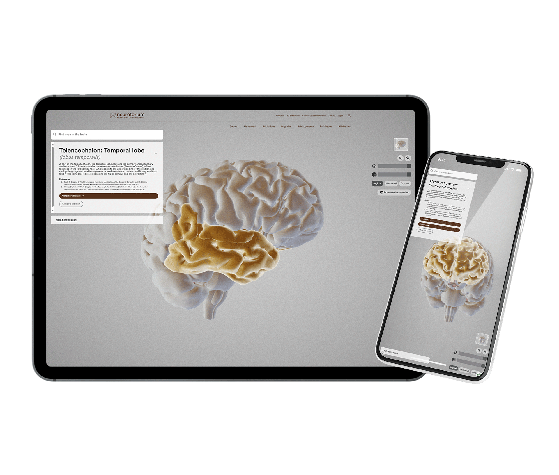 digital content for HCP education pharma