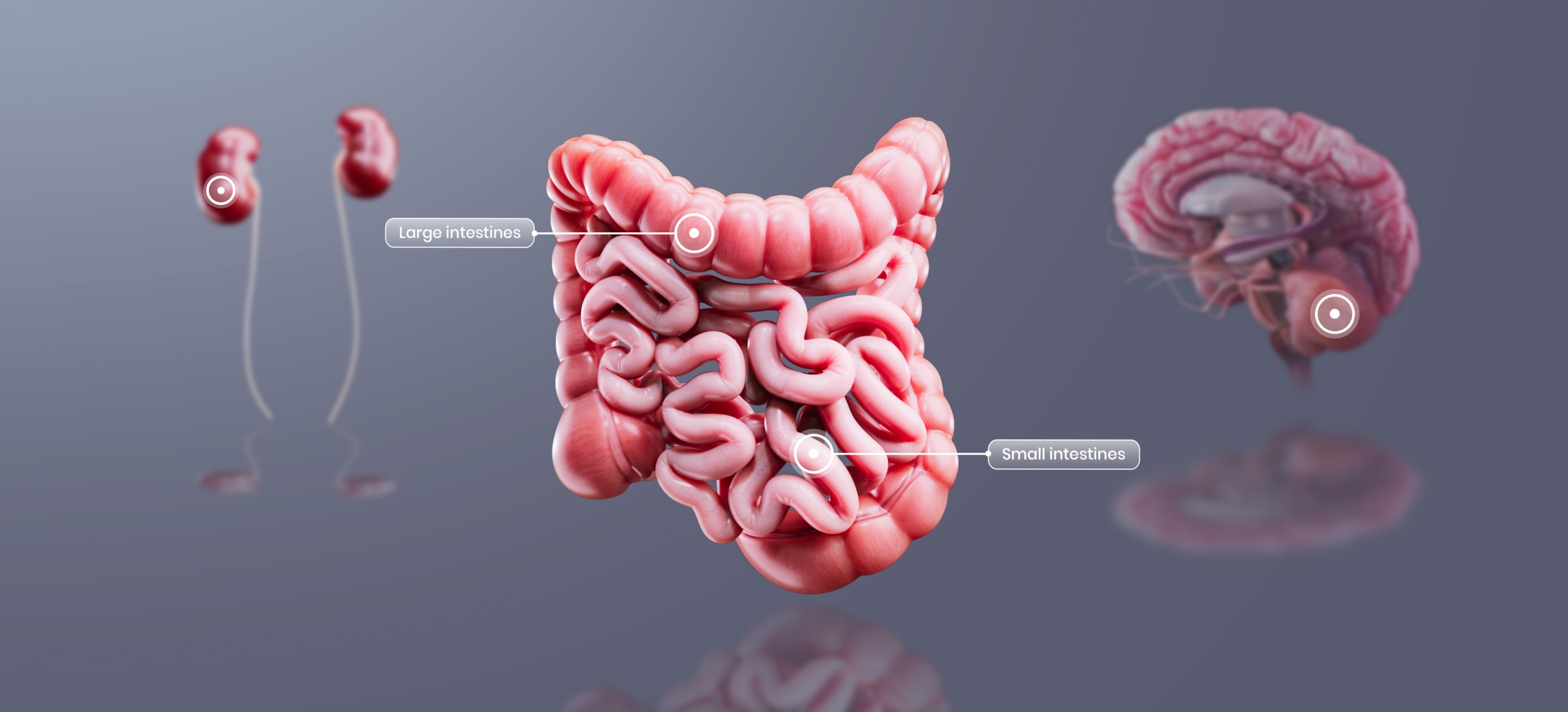 Pharma Healthcare Professional Education Content