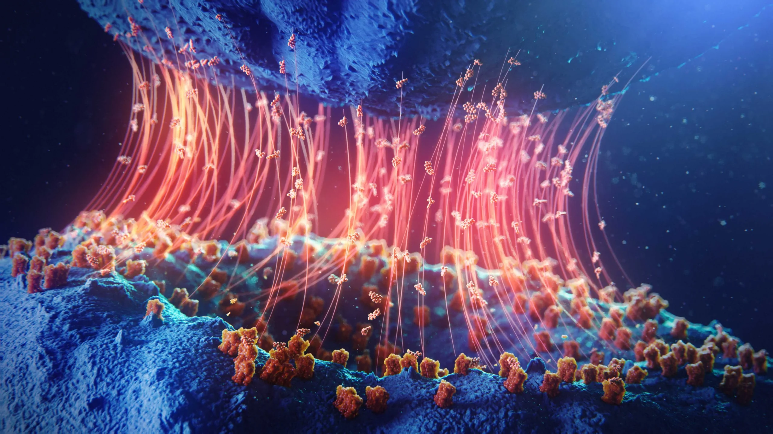 Random42 showreel 2026