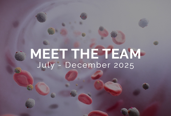 Meet the team July - December 2025 thumbnail