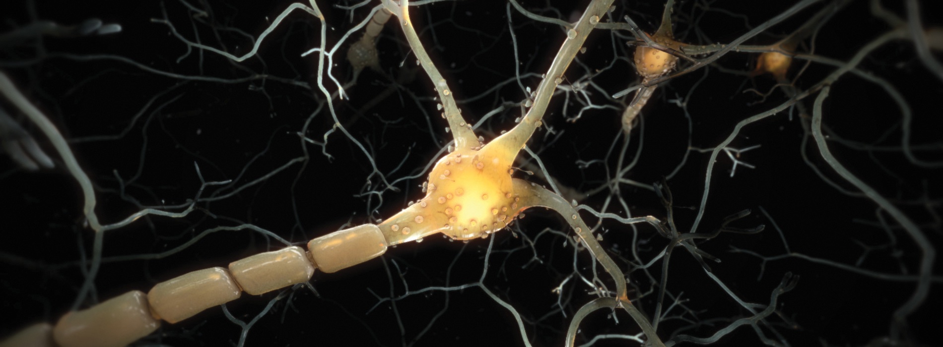 Virtual reality neuron experience designed by Random42