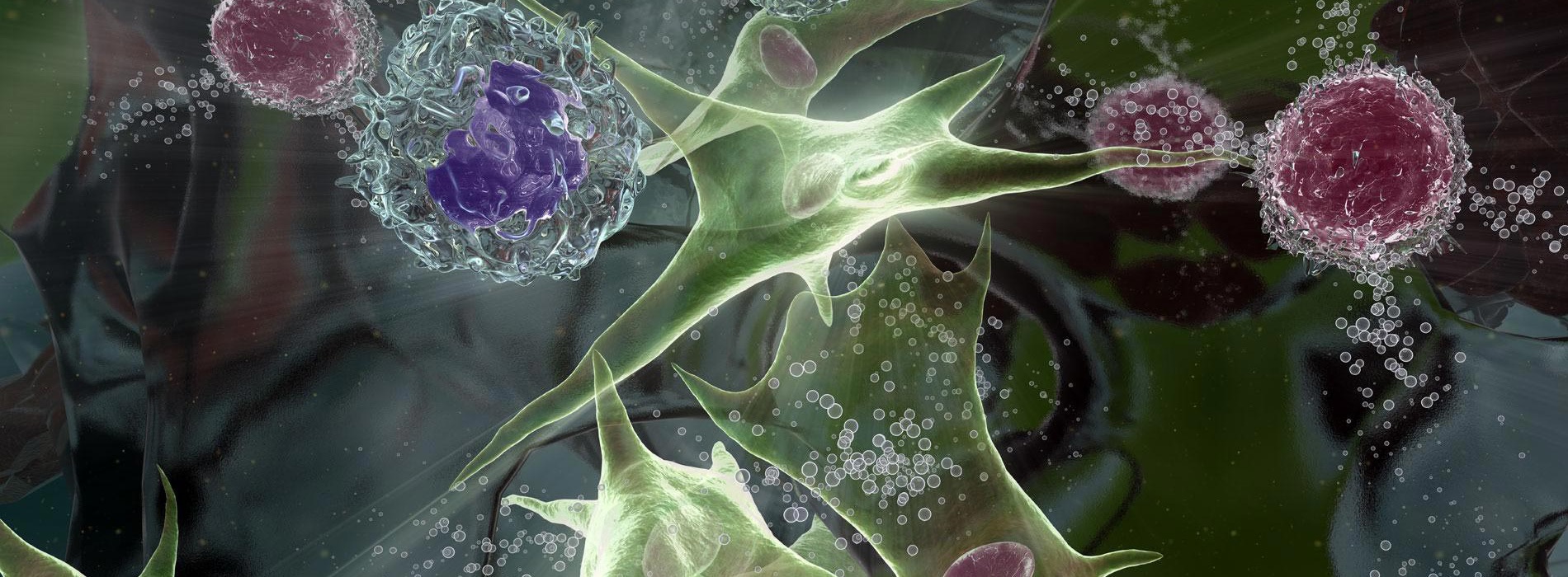 3D model of tumor stroma designed by Random42