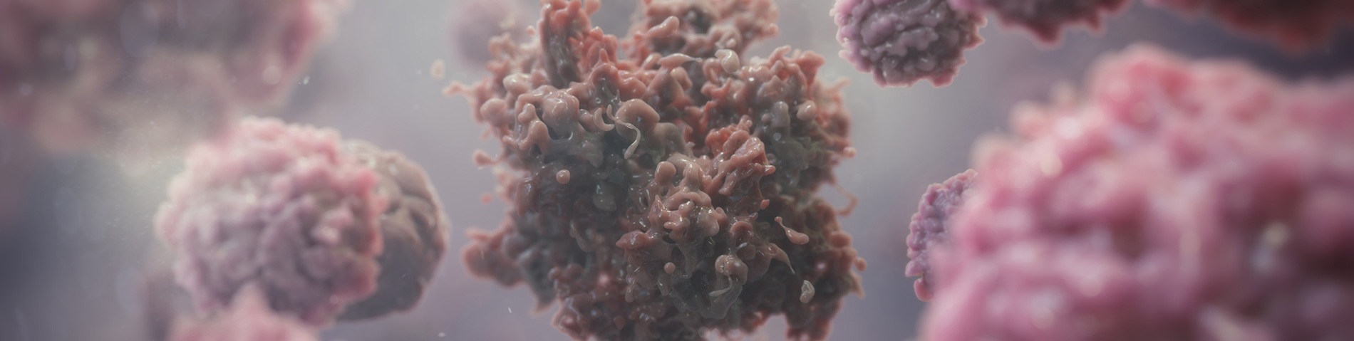 3D model of tumor cells designed by Random42