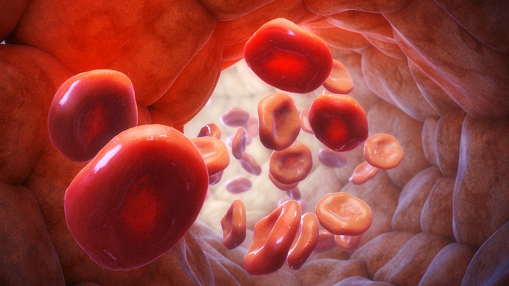 3D model of a blood vessel designed by Random42