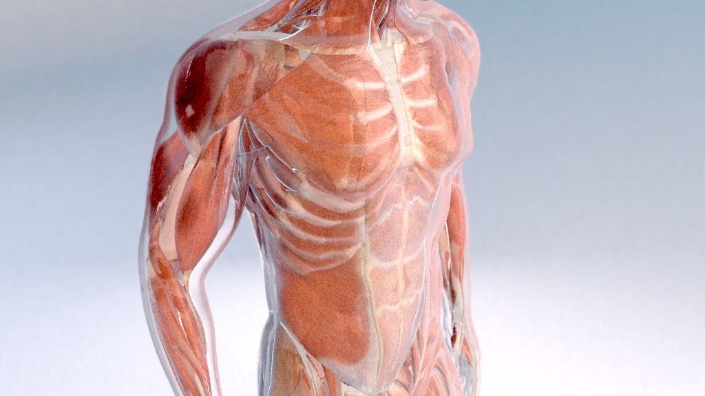 Blood Testing Scientific Animation